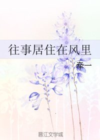 往事居住在风里